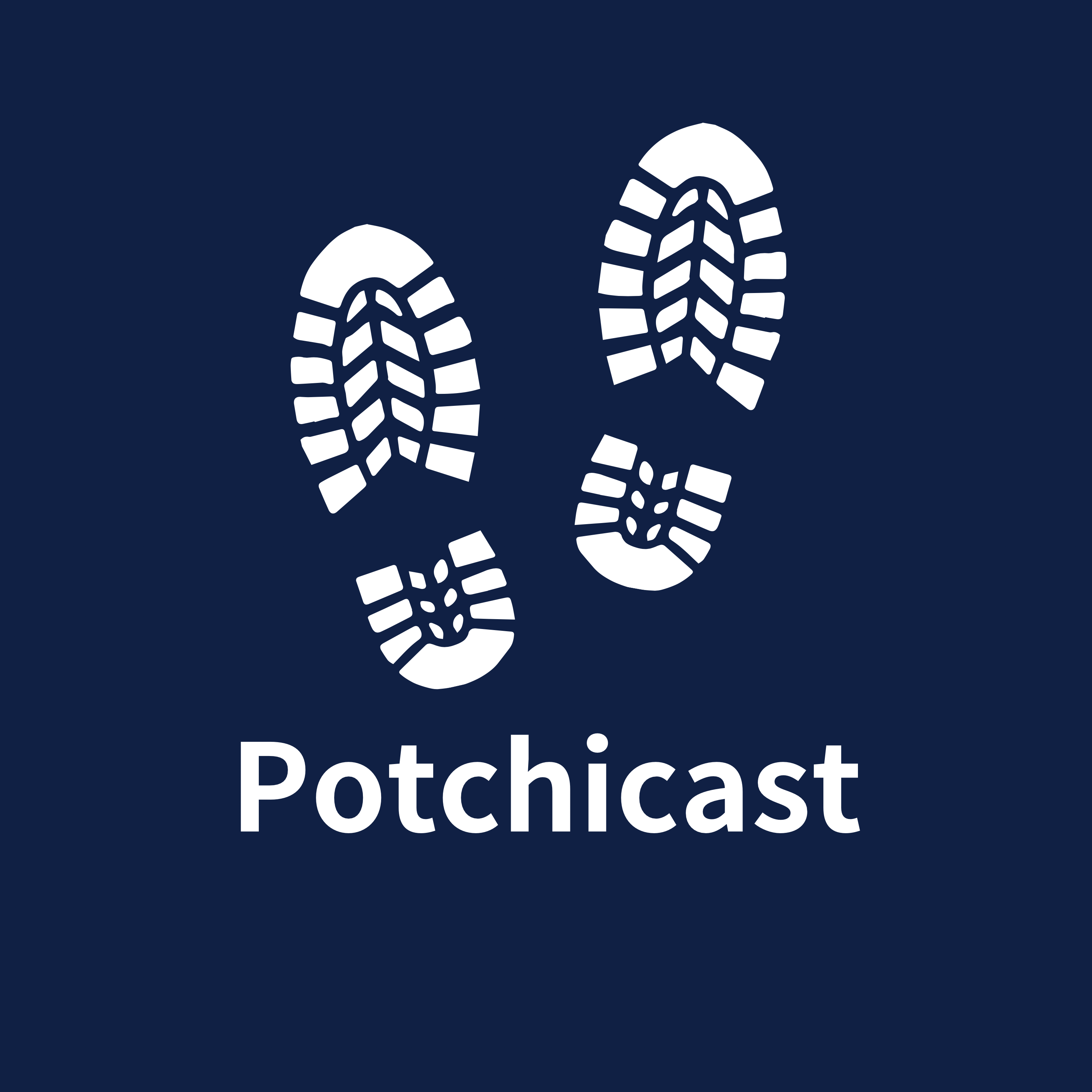 Potchicast